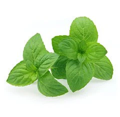 Nictel E-Liquid 18mg | £1 - Image 27