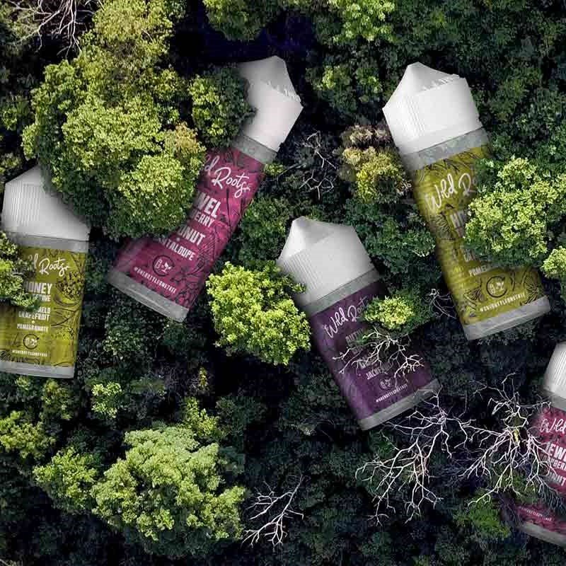 Wild Roots 70/30 | 100ml + 2 Nics | £8 - Image 5